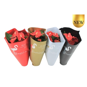 Anthurium XL.9 Jambo Red 17cm in diverse kleuren sierhoes