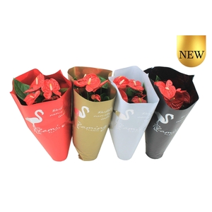 Anthurium XL.9 Jambo Red 17cm in diverse kleuren sierhoes