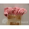 DECO stick heart wooden open pink