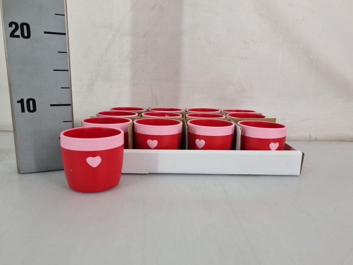 <h4>HUIS EN TUINDECO H%</h4>