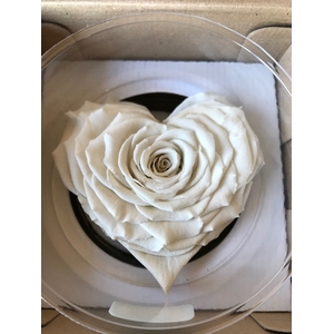 Hart XXL whi-04