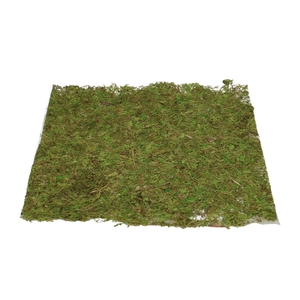 Dried articles Moss sheet vk d28cm
