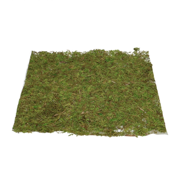 <h4>Dried articles Moss sheet vk d28cm</h4>