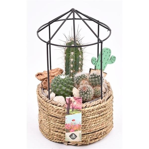 <h4>Gaashuis met touw15cm</h4>