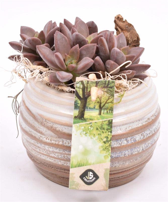 <h4>Keramiek sierpot bruin/creme10cm</h4>