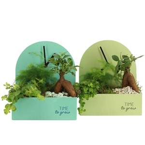 11581: Consideration arrangement