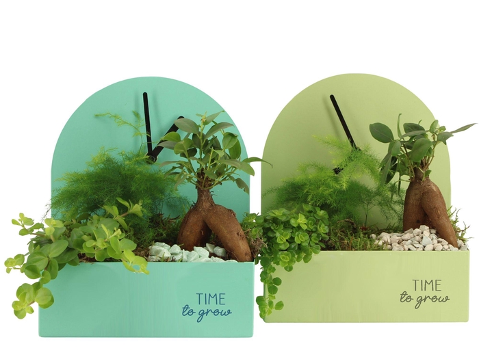 <h4>11581: Consideration arrangement</h4>