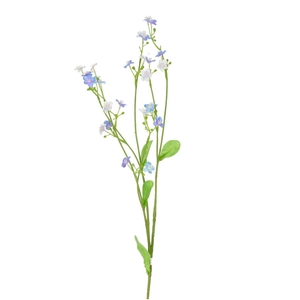 Myosotis 73cm