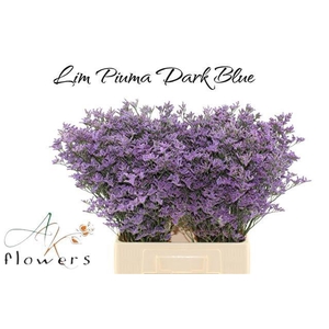 LIM PIUMA DARK BLUE