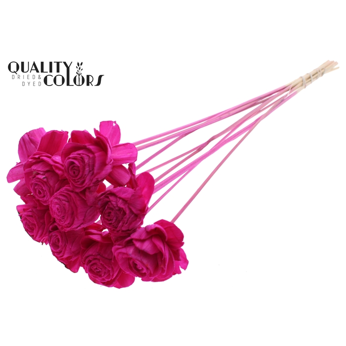<h4>Shola Beauty Rose 6cm on stem Lilac</h4>