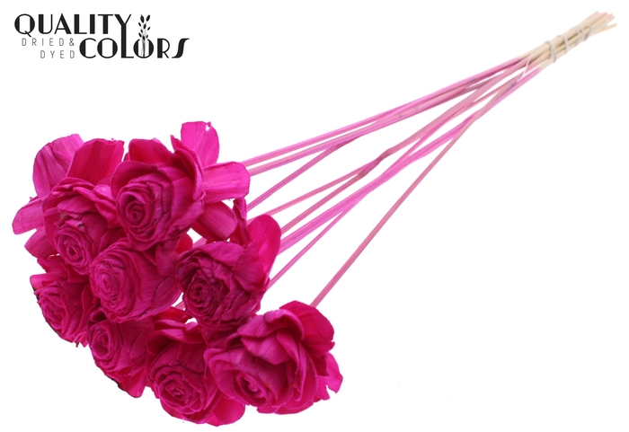 Shola Beauty Rose 6cm on stem Lilac