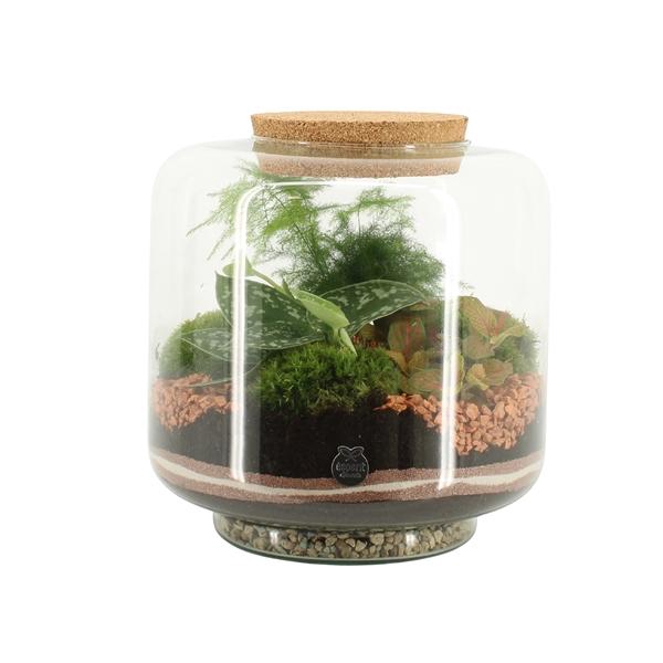 <h4>41545: Treasure time arrangement</h4>