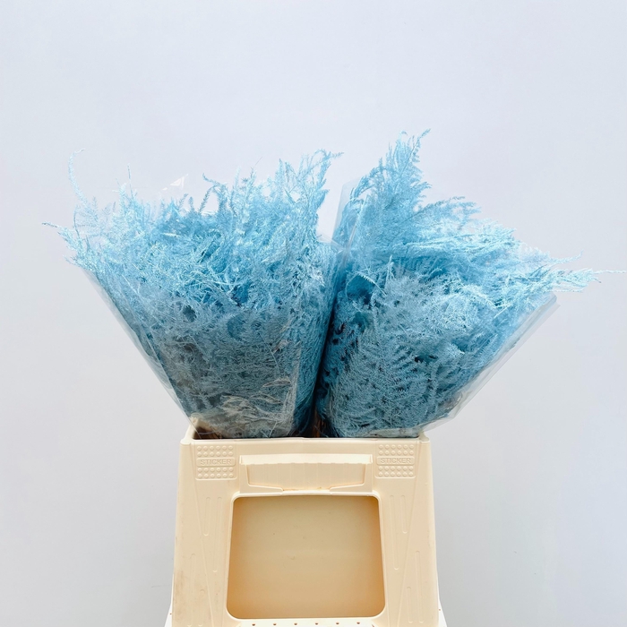 <h4>ASP OV KLB H%</h4>