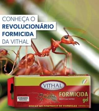 <h4>VITHAL FORMICIDA GEL 10G</h4>