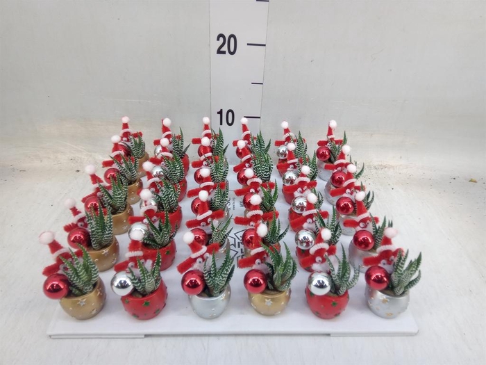 <h4>Arr. Kerst L%</h4>