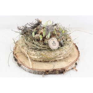 arr4 Narcis PL - Hout schijf stro krans XL