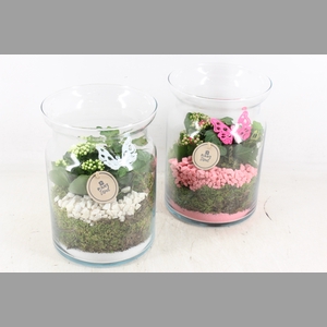 arr2 PL - Glas bose hoog - roze/wit