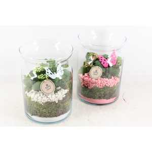 arr2 PL - Glas bose hoog - roze/wit