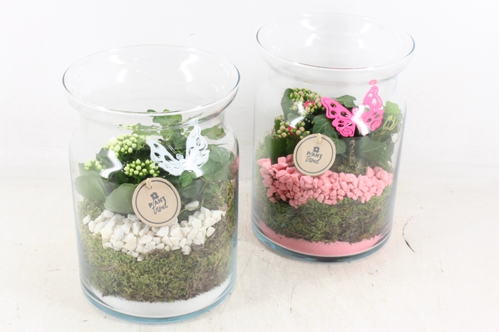 <h4>arr2 PL - Glas bose hoog - roze/wit</h4>