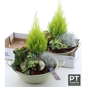 ARR TUINPLANTEN