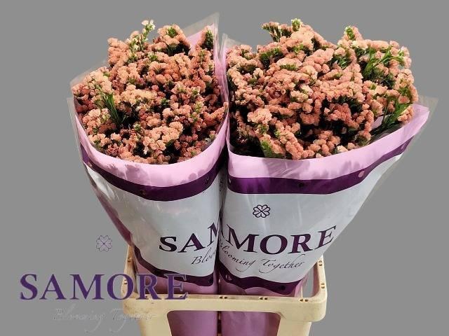 <h4>LIM S ROYAL ORANGE</h4>