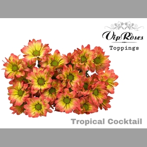 CHR T TROPICAL COCTAIL