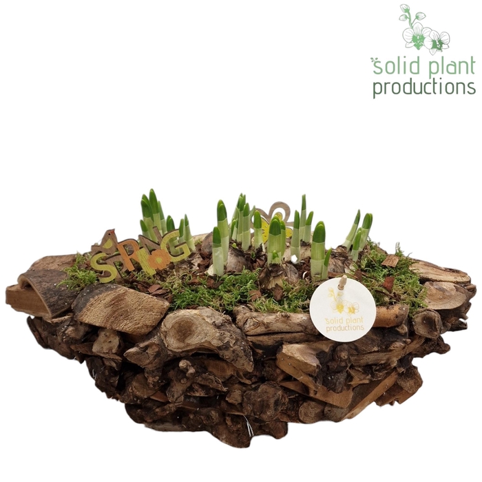 <h4>DBTE012 Driftwood Boat Tête-á-Tête</h4>