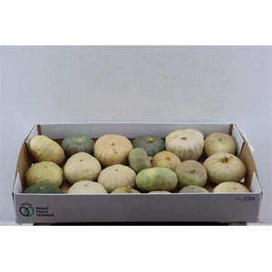 Sier Cuc P Jarahdale Mix X20