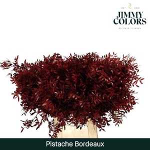 Pistache L50 Bordeaux