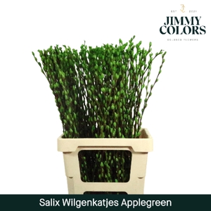 Salix Katjes L70 Apple Green