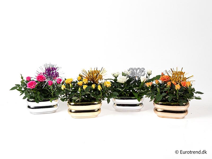 <h4>ROSA-HYBRID KUVERT</h4>