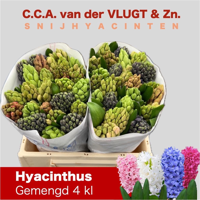 <h4>HYAC GEM 4 KLEUREN</h4>