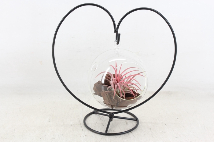 <h4>arr2 TD - Metaal hart hangbol till.</h4>