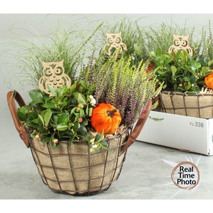 ARR TUINPLANTEN