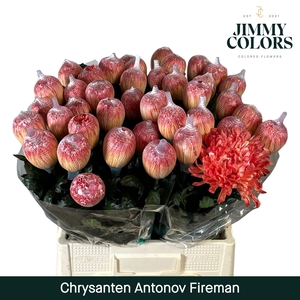 Chr G Antonov Fire man