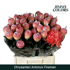 Chr G Antonov Fire man