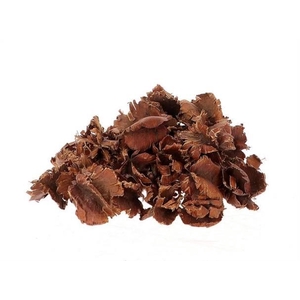 Windmill Pod Grande 4-6 Cm L12W10H36