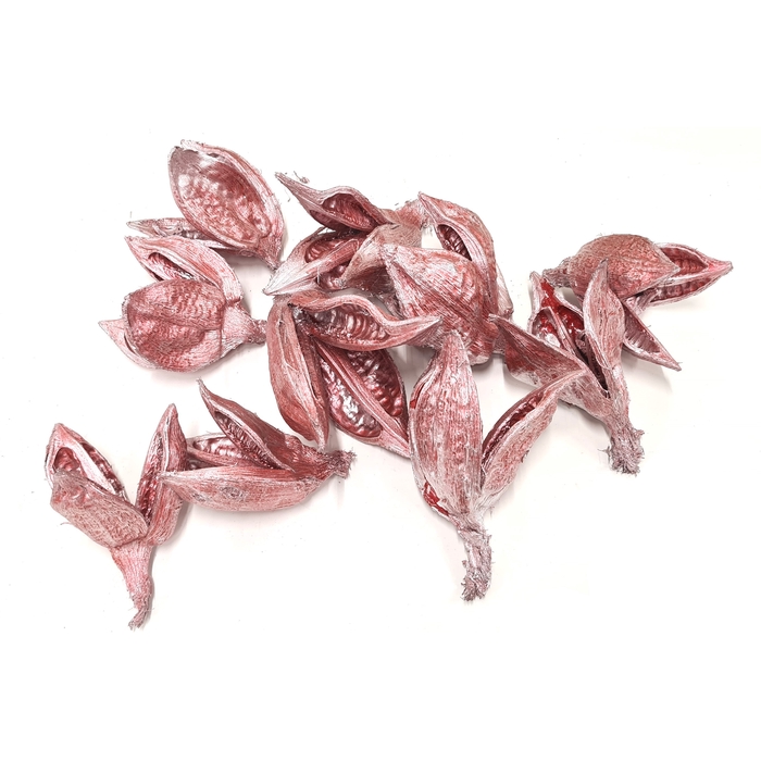 <h4>Sororoca penca flower 10pcs in poly Metallic Antique Red</h4>