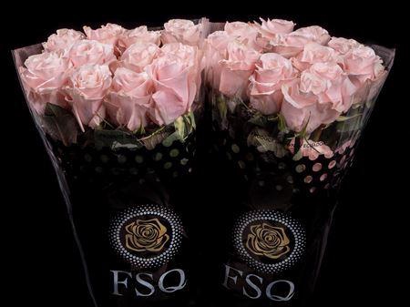 <h4>R Gr Sweet Beat</h4>