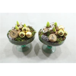 2584 Hyac Glas Op Voet