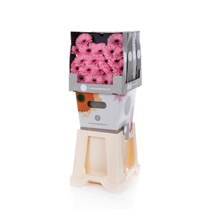 Germini Talent Diamond