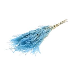 Bunch Helecho Pres. 3st 60/80g L70