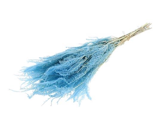 Bunch Helecho Pres. 3st 60/80g L70