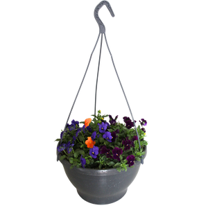 Hangpot 30 cm met waterreservoir Viola Cornuta Violet-Blauw-Oranje
