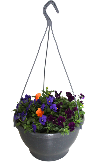 <h4>Hangpot 30 cm met waterreservoir Viola Cornuta Violet-Blauw-Oranje</h4>