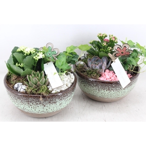 arr2 MB - Ker. schaal sandy 285/5 - roze/wit