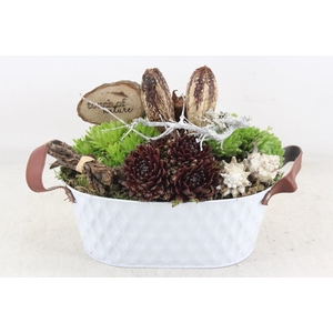 arr4 Semp MB - Zink ovaal modern white x3