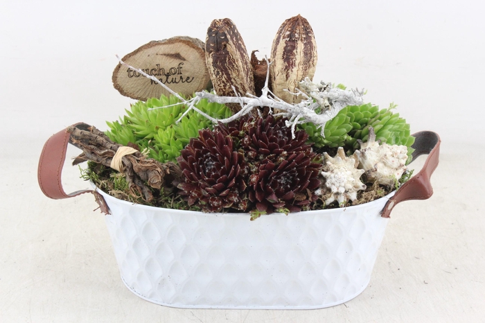 <h4>arr4 Semp MB - Zink ovaal modern white x3</h4>