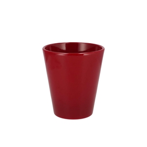 Ceramic Wine Red Shiny Pot Orchid 15cm