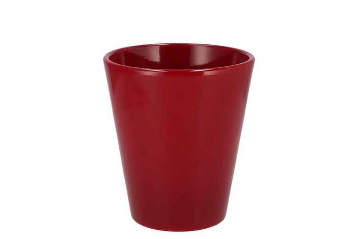<h4>Ceramic Wine Red Shiny Pot Orchid 15cm</h4>